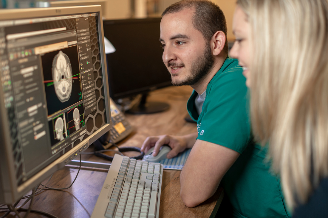 Scientist viewing brain scan